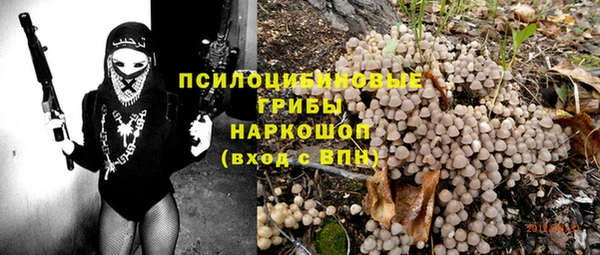 прущие грибы Карталы