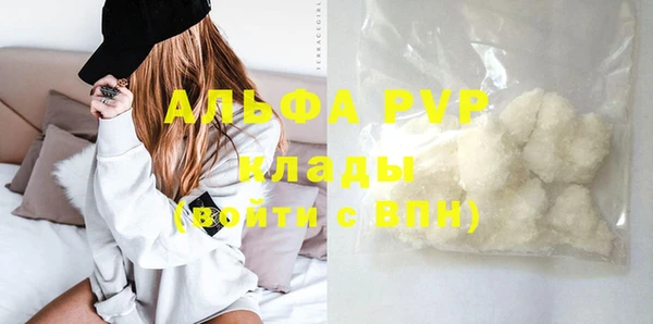 прущие грибы Карталы