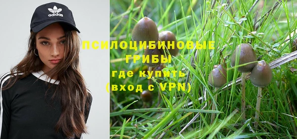 прущие грибы Карталы