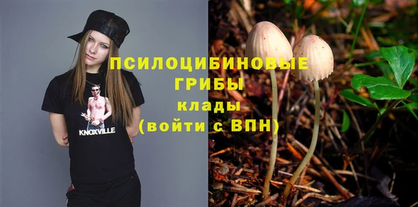 гашиш Карпинск